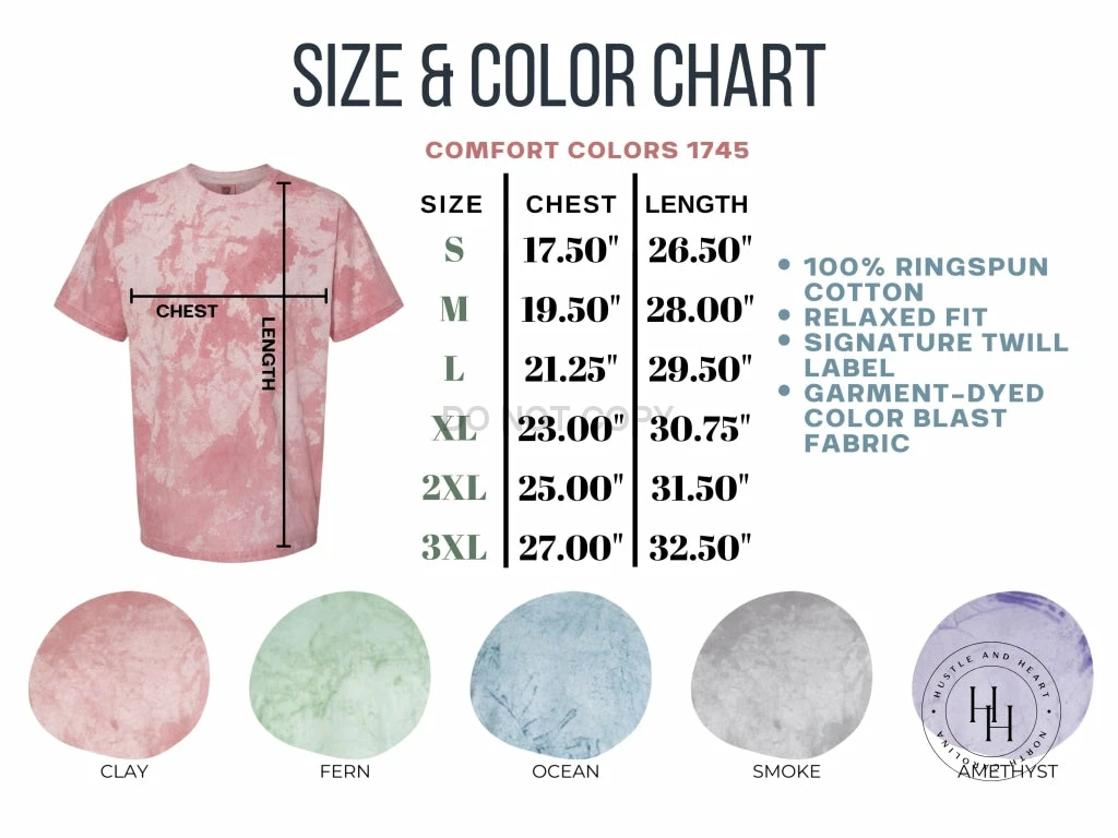 Hustle & Heart NC Faux Glitter Leopard Circle Designs I'm Stoned Not Stupid Comfort Colors Acid Wash Unisex Tee