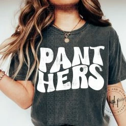 Hustle & Heart NC Panthers Retro Screenprint Transfer Transfers